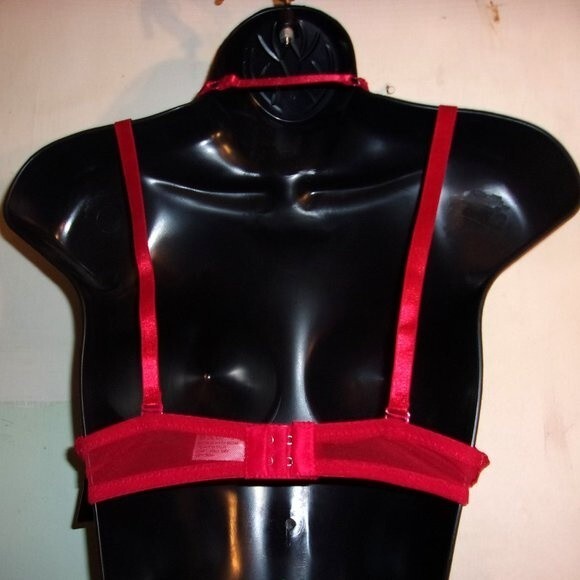 Youmita 34C Chili Pepper Metallic Lace Strappy Bra & Medium Lace Hipster NWT - Picture 8 of 10